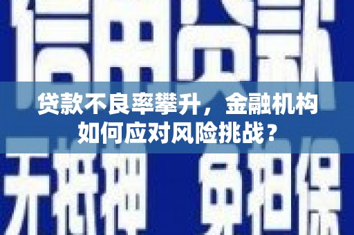 大丰贷款不良率攀升，金融机构如何应对风险挑战？