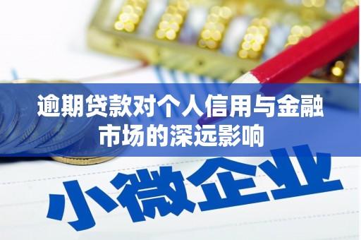 大丰逾期贷款对个人信用与金融市场的深远影响