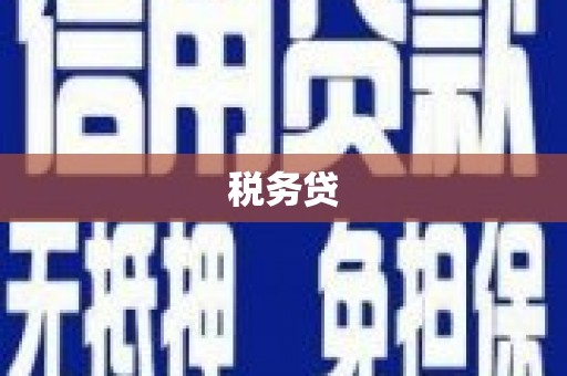 大丰税务贷