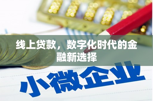 大丰线上贷款，数字化时代的金融新选择
