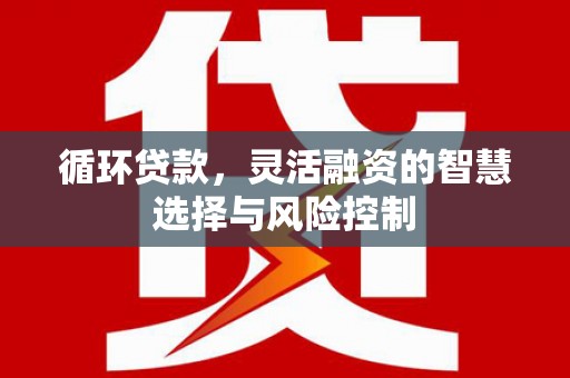 大丰循环贷款，灵活融资的智慧选择与风险控制