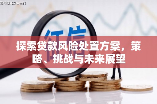 大丰探索贷款风险处置方案，策略、挑战与未来展望