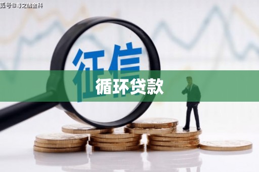 大丰循环贷款