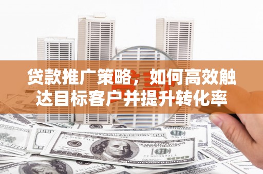 大丰贷款推广策略，如何高效触达目标客户并提升转化率