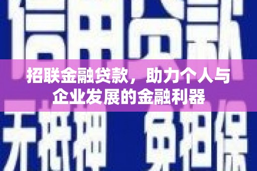 大丰招联金融贷款，助力个人与企业发展的金融利器