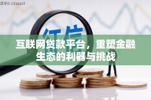 大丰互联网贷款平台，重塑金融生态的利器与挑战