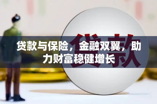 大丰贷款与保险，金融双翼，助力财富稳健增长