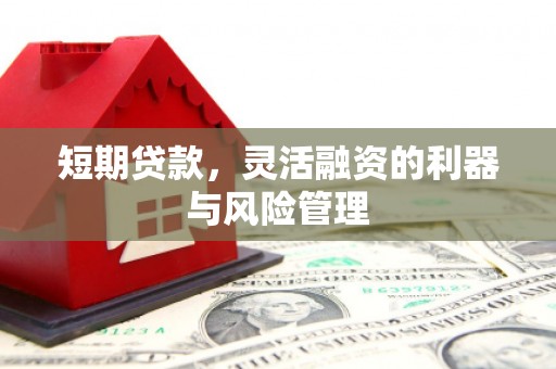 大丰短期贷款，灵活融资的利器与风险管理