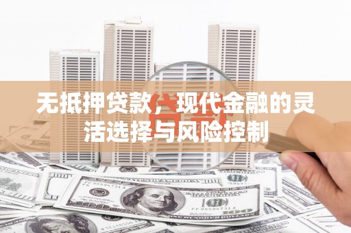 大丰无抵押贷款，现代金融的灵活选择与风险控制