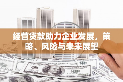 大丰经营贷款助力企业发展，策略、风险与未来展望
