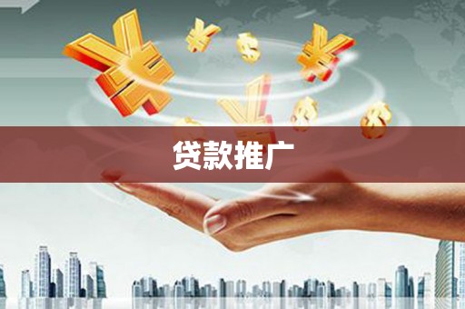 大丰贷款推广