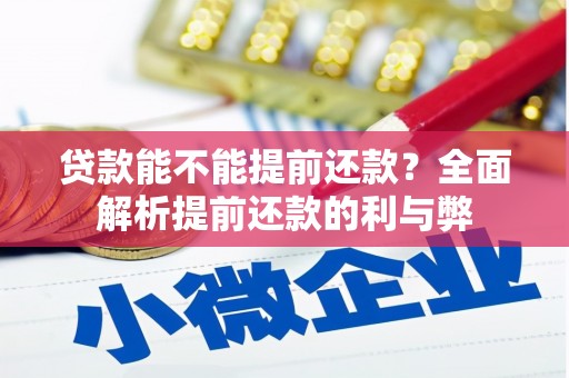 大丰贷款能不能提前还款？全面解析提前还款的利与弊