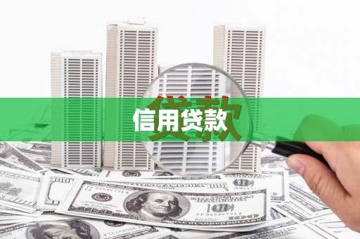 大丰信用贷款