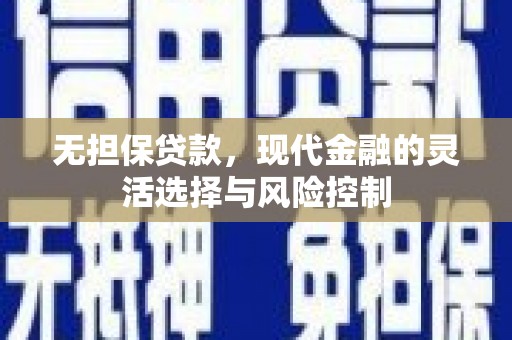 大丰无担保贷款，现代金融的灵活选择与风险控制