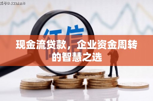 大丰现金流贷款，企业资金周转的智慧之选