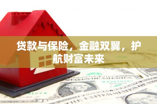 大丰贷款与保险，金融双翼，护航财富未来