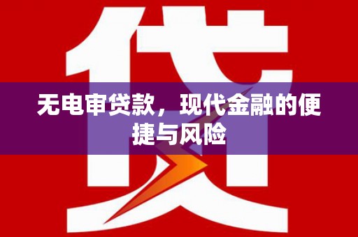 大丰无电审贷款，现代金融的便捷与风险