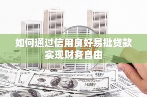 大丰如何通过信用良好易批贷款实现财务自由