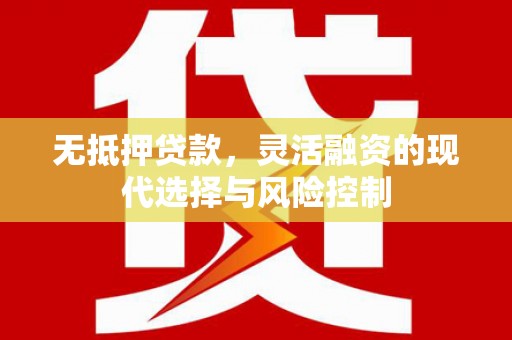 大丰无抵押贷款，灵活融资的现代选择与风险控制