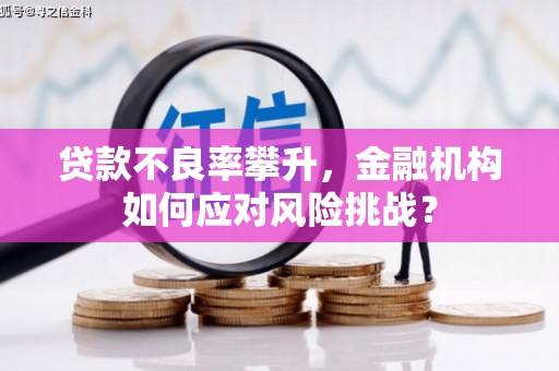 大丰贷款不良率攀升，金融机构如何应对风险挑战？