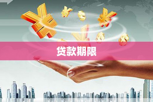 大丰贷款期限