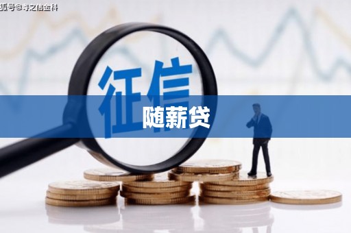 大丰随薪贷
