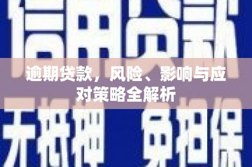 大丰逾期贷款，风险、影响与应对策略全解析