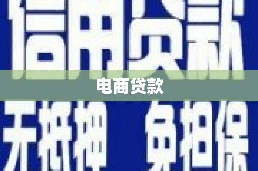 大丰电商贷款