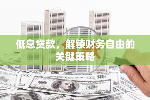 大丰低息贷款，解锁财务自由的关键策略