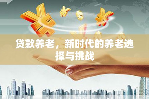 大丰贷款养老，新时代的养老选择与挑战