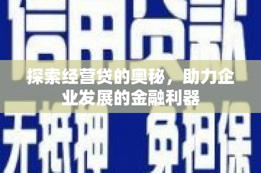 大丰探索经营贷的奥秘，助力企业发展的金融利器