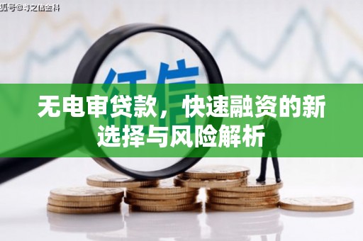 大丰无电审贷款，快速融资的新选择与风险解析