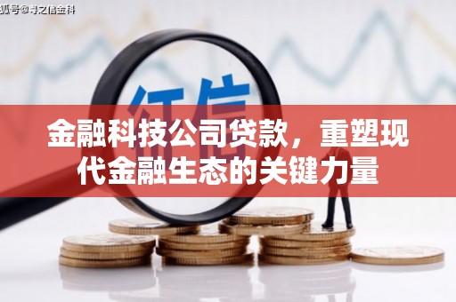 大丰金融科技公司贷款，重塑现代金融生态的关键力量