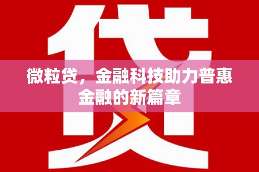大丰微粒贷，金融科技助力普惠金融的新篇章