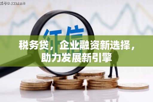 大丰税务贷，企业融资新选择，助力发展新引擎