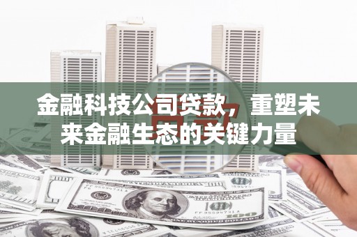 大丰金融科技公司贷款，重塑未来金融生态的关键力量