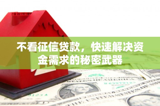 大丰不看征信贷款，快速解决资金需求的秘密武器