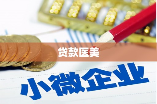 大丰贷款医美