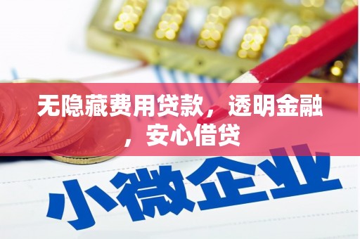 大丰无隐藏费用贷款，透明金融，安心借贷