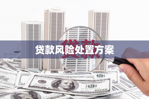 大丰贷款风险处置方案