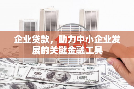 大丰企业贷款，助力中小企业发展的关键金融工具
