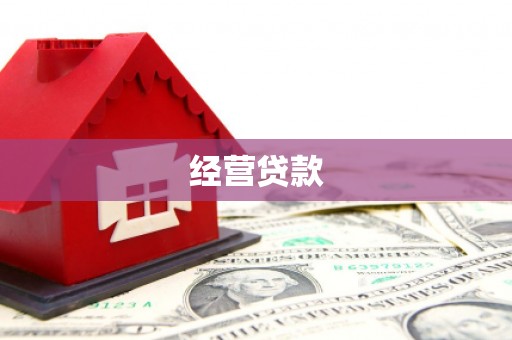 大丰经营贷款