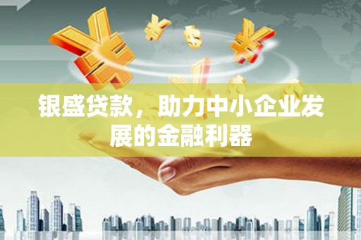 大丰银盛贷款，助力中小企业发展的金融利器