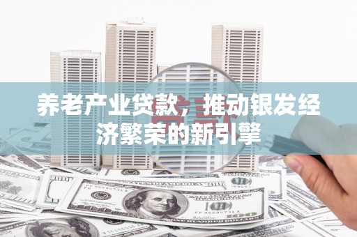 大丰养老产业贷款，推动银发经济繁荣的新引擎