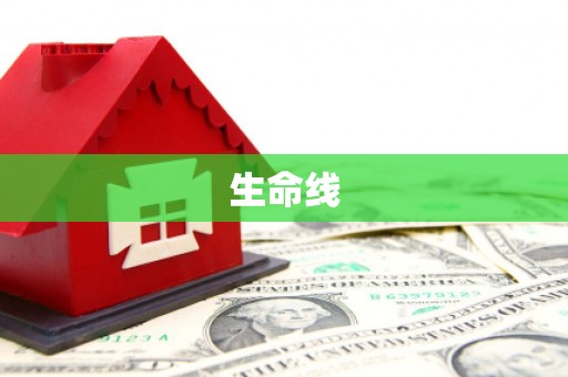 大丰生命线