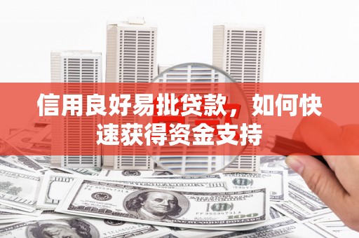 大丰信用良好易批贷款，如何快速获得资金支持