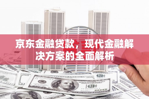 大丰京东金融贷款，现代金融解决方案的全面解析