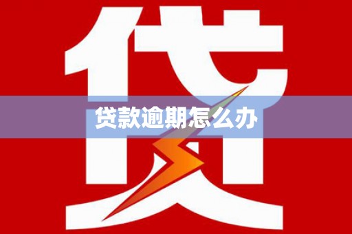 大丰贷款逾期怎么办