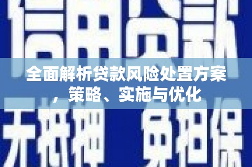 大丰全面解析贷款风险处置方案，策略、实施与优化