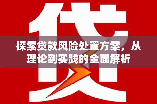 大丰探索贷款风险处置方案，从理论到实践的全面解析